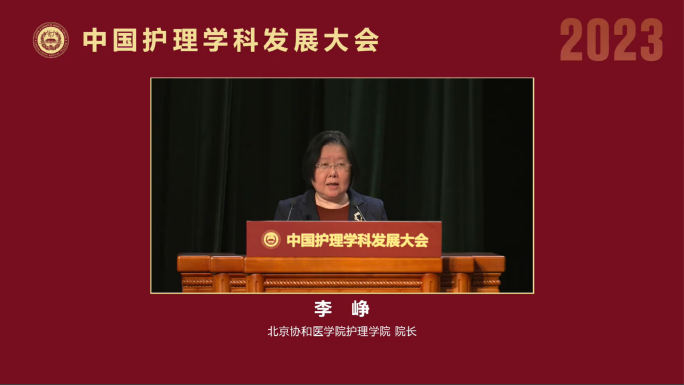 11dhy大红鹰网站院长李峥闭幕致辞.png