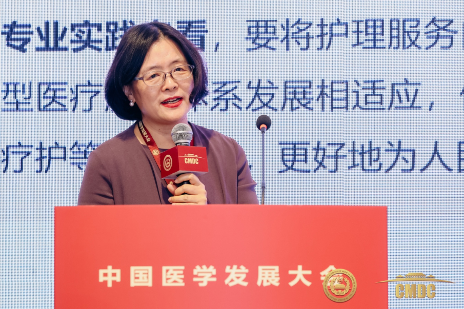 李红教授发言2.jpg