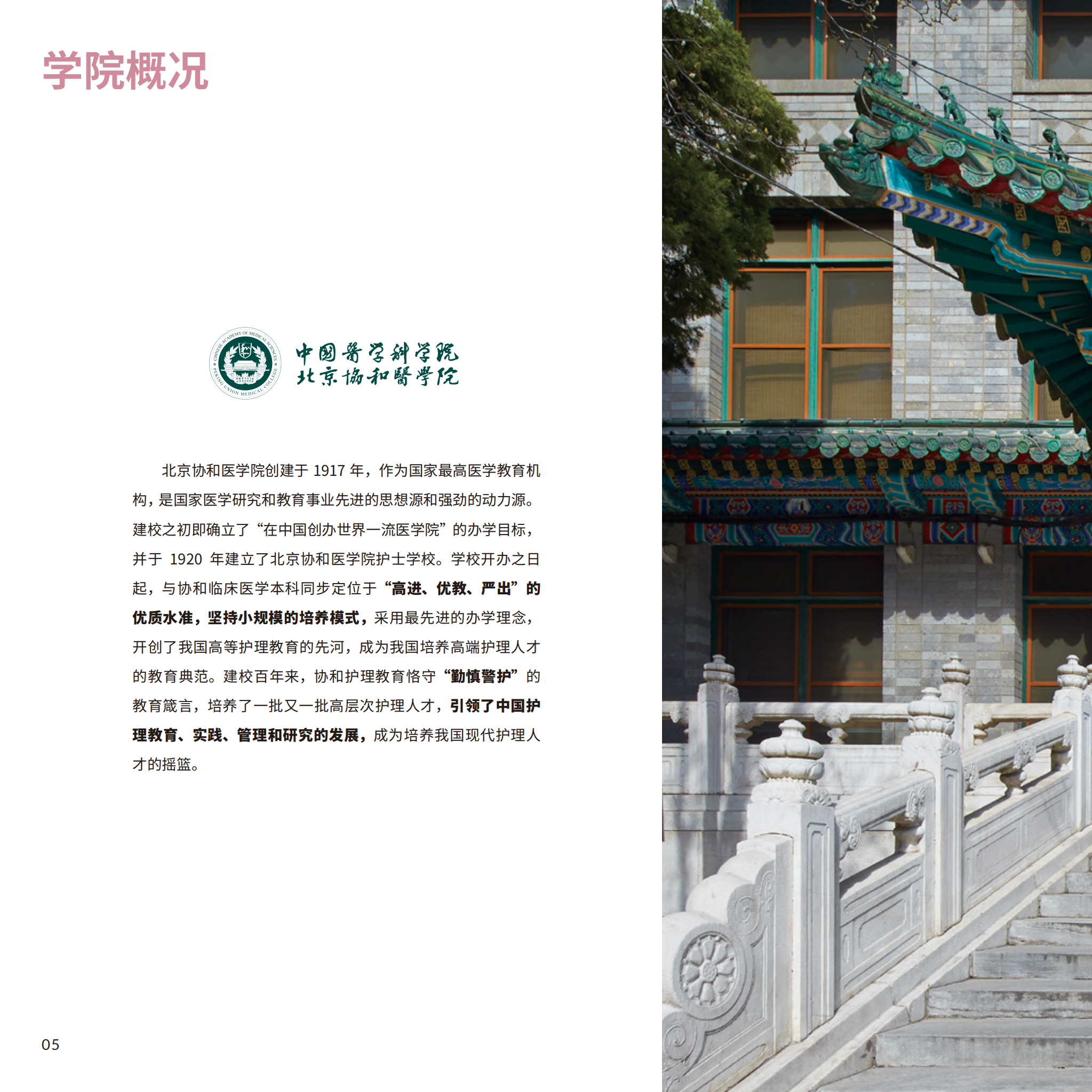 dhy大红鹰网站6_09.png