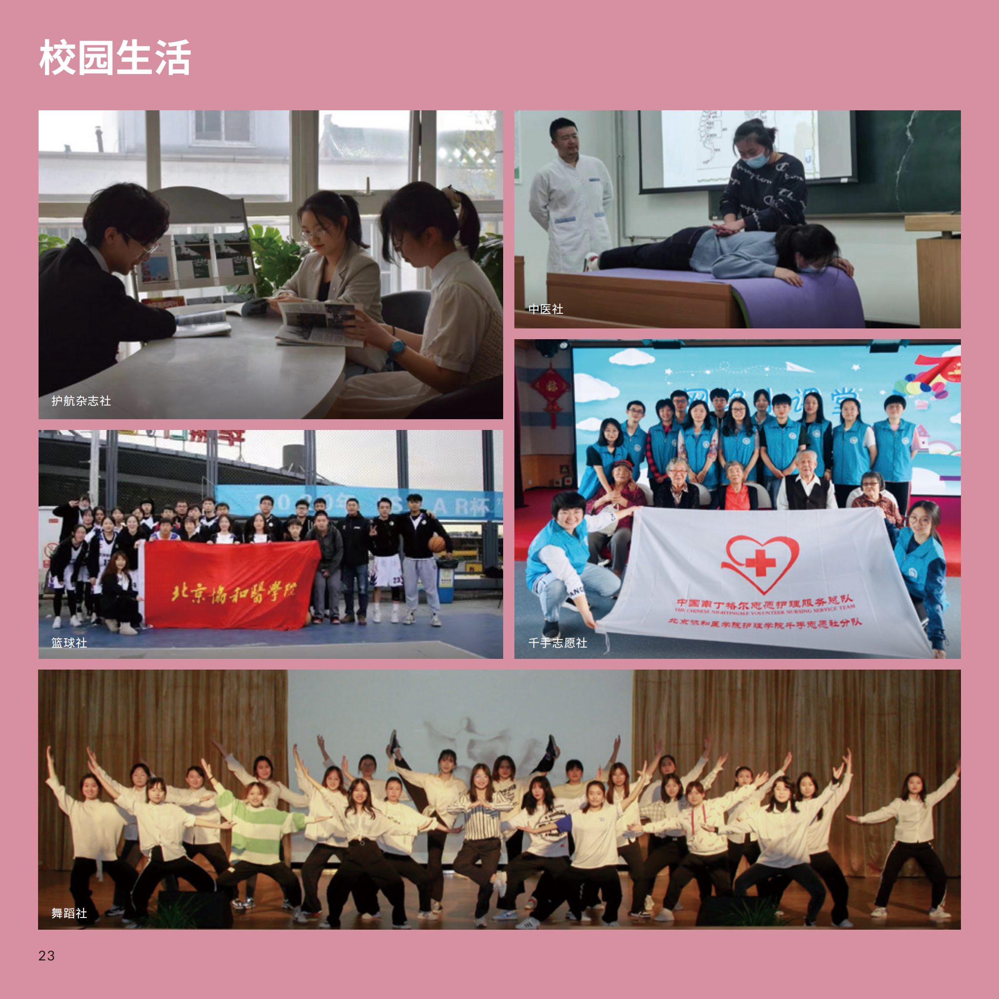dhy大红鹰网站6_27.png