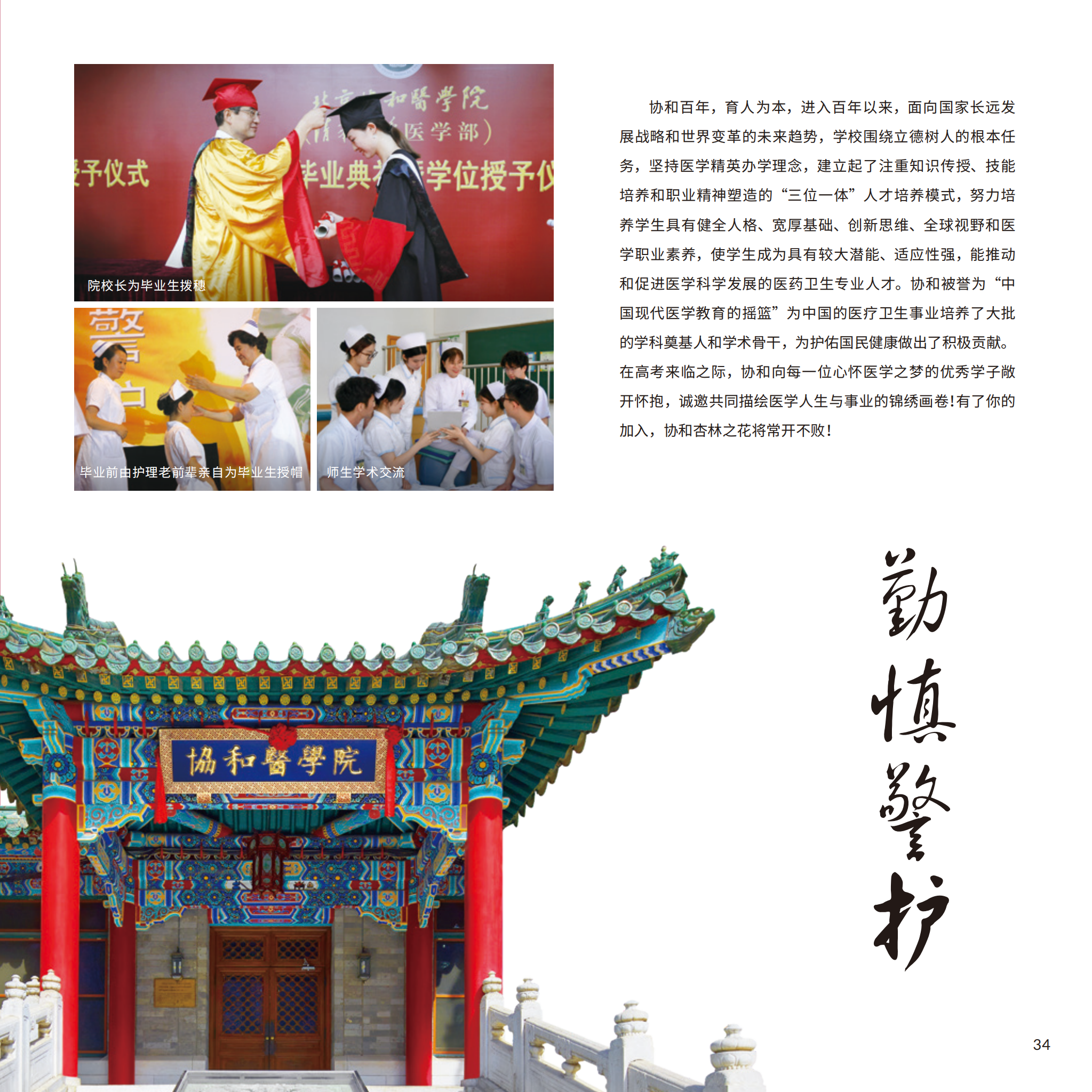 dhy大红鹰网站6_38.png