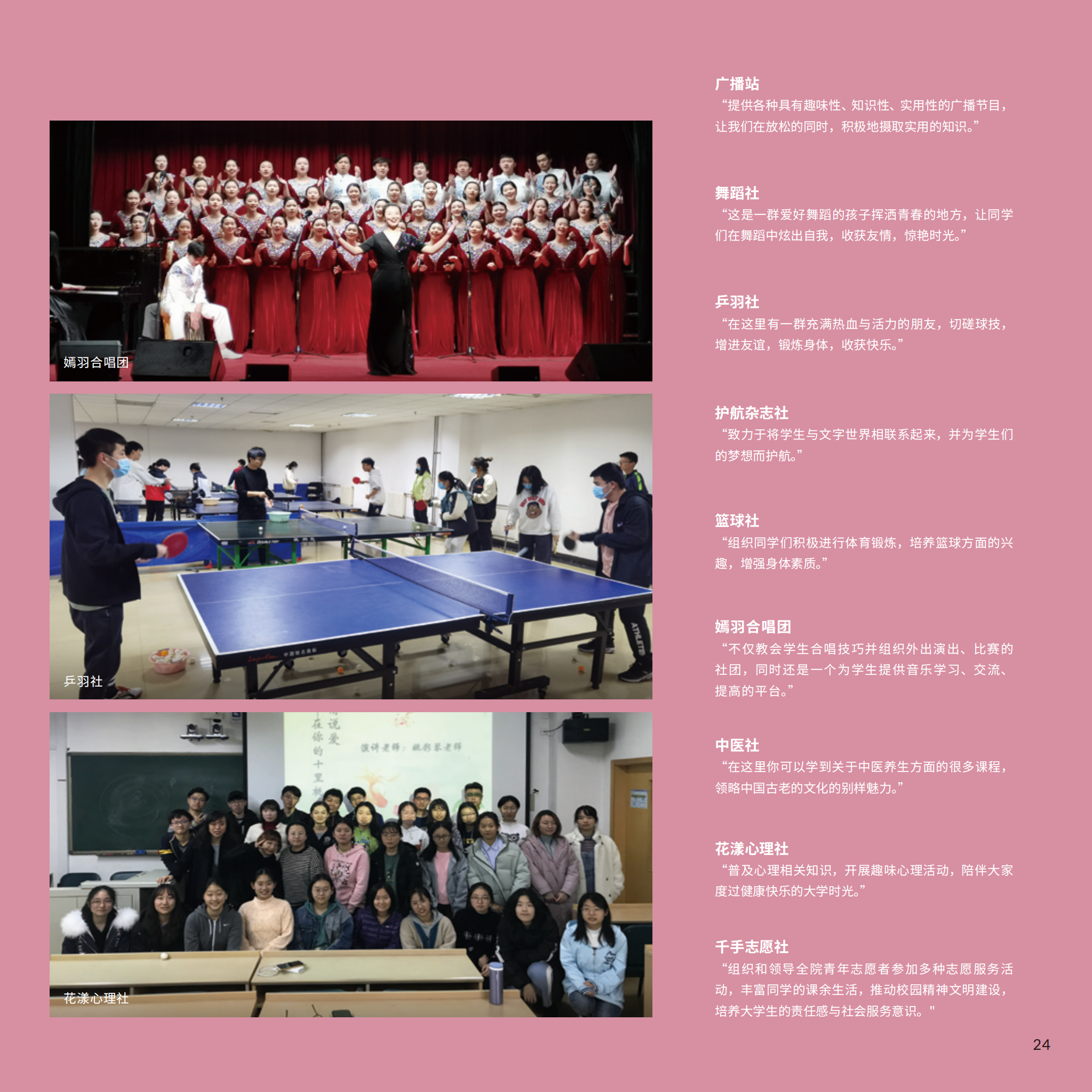dhy大红鹰网站6_28.png