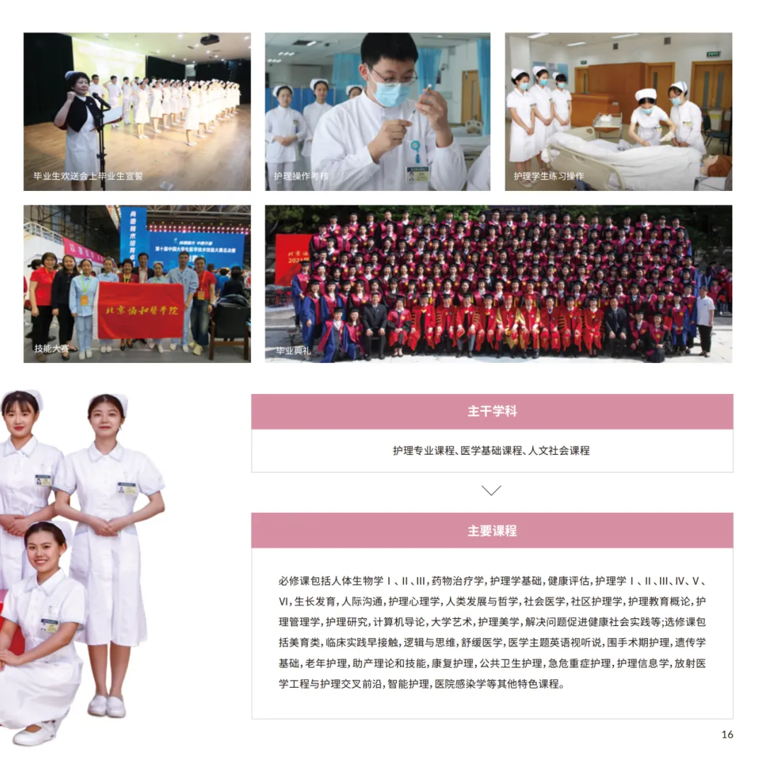 dhy大红鹰网站6_20.png