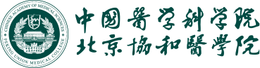 dhy大红鹰网站